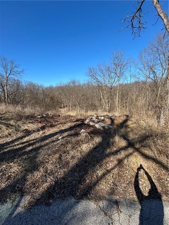 4236 E 58 Street, Kansas City, MO 64130