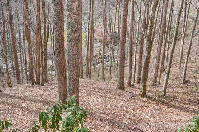 307 Roaring Creek Lane, Waynesville, NC 28786