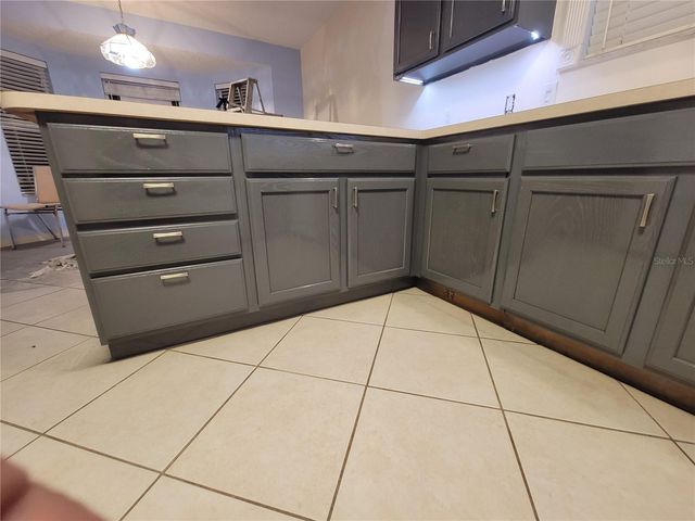 1033 OAK FOREST DRIVE, The Villages, FL 32162