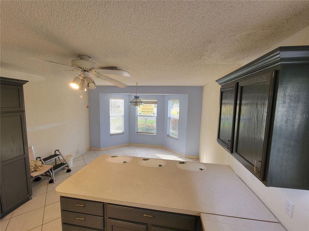 Image 28 of property listing at 1033 OAK FOREST DRIVE, The Villages, FL 32162