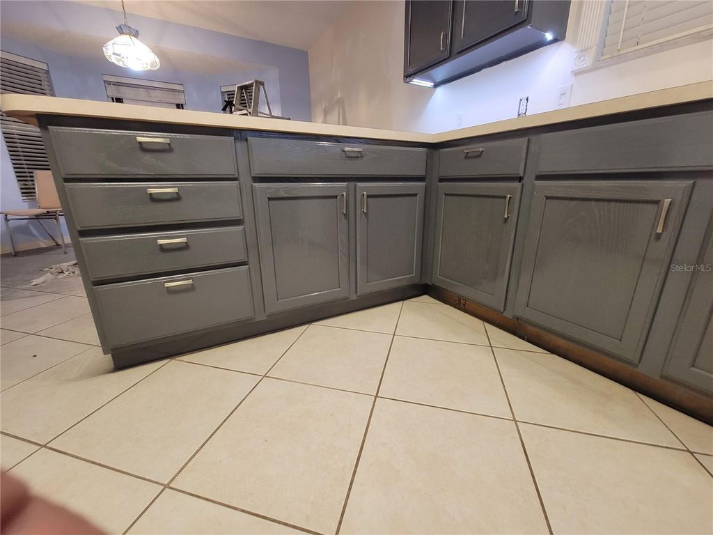 Image 30 of property listing at 1033 OAK FOREST DRIVE, The Villages, FL 32162