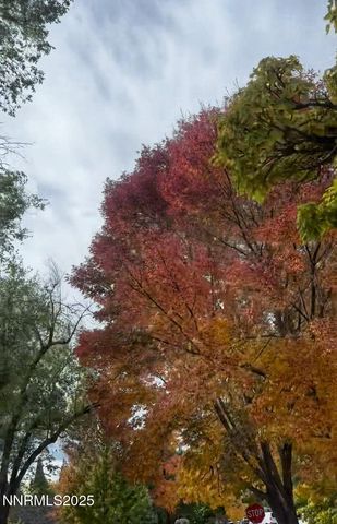 611 & 611A Nixon Avenue, Reno, NV 89509