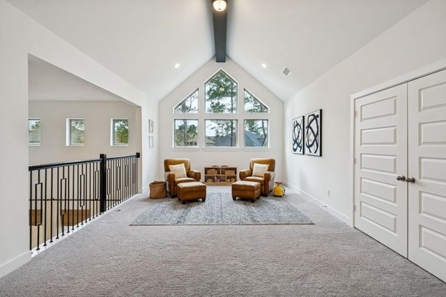 519 Caverna Street, Montgomery, TX 77316