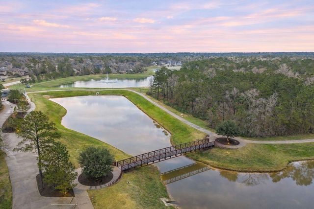 519 Caverna Street, Montgomery, TX 77316