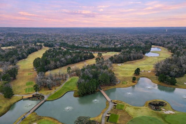 519 Caverna Street, Montgomery, TX 77316