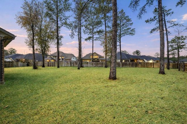 519 Caverna Street, Montgomery, TX 77316