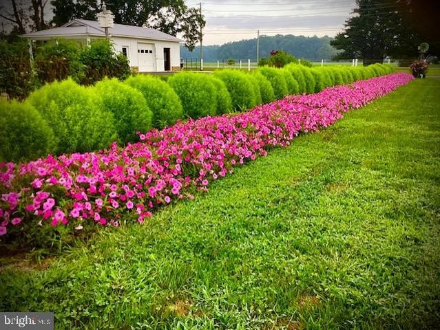 1340 HAZLETTVILLE RD, Hartly, DE 19953