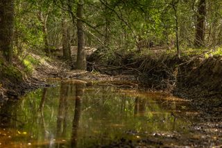 TBD US Highway 77 S, Giddings, TX 78942