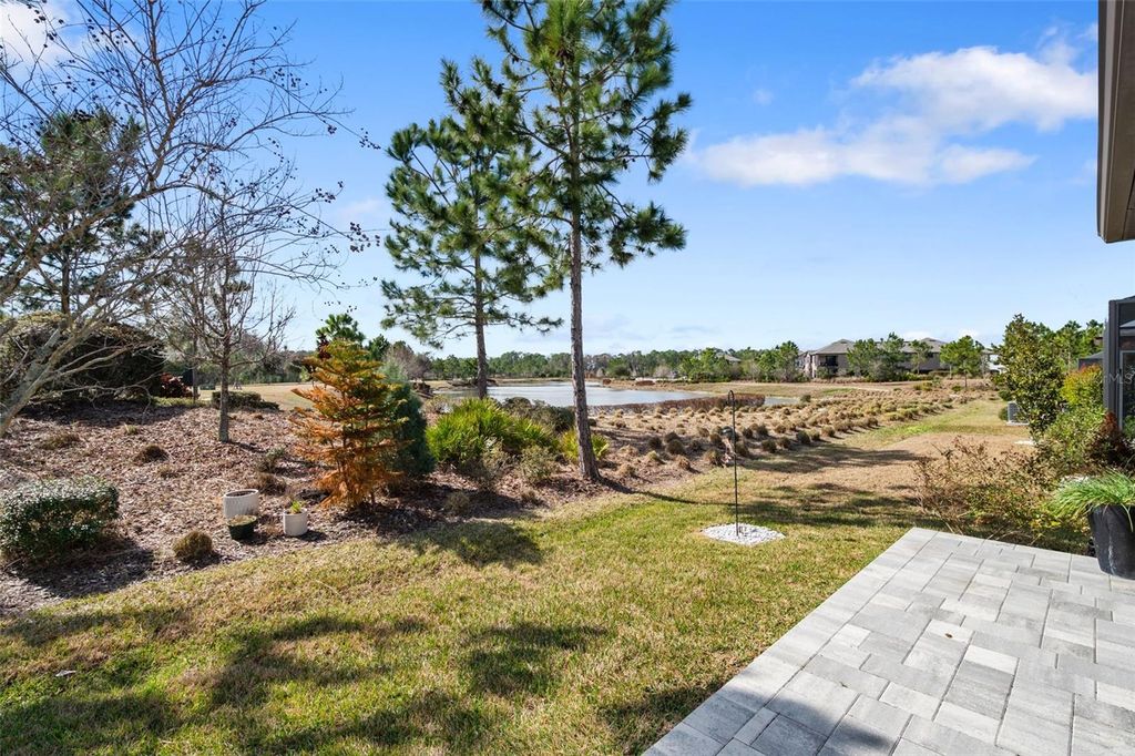 Image 35 of property listing at 4563 SAN MARTINO DRIVE, Wesley Chapel, FL 33543