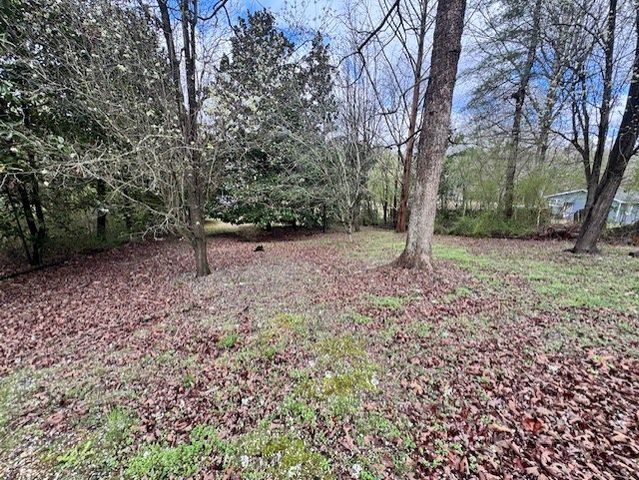 243 Callie Jones Road, Chatsworth, GA 30705