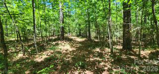 171 Bambi Lane, Mill Spring, NC 28782