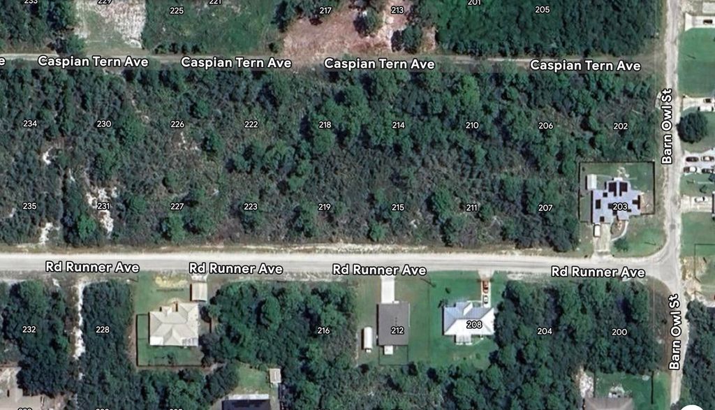 215 Roadrunner Avenue, Sebring, FL 33870