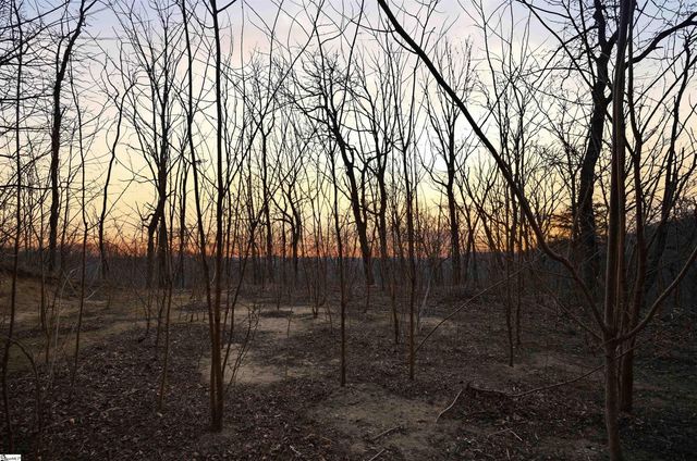 12 Hideaway Hill Way, Landrum, SC 29356