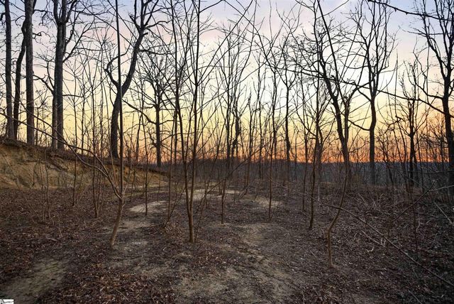 12 Hideaway Hill Way, Landrum, SC 29356