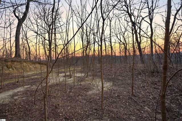 12 Hideaway Hill Way, Landrum, SC 29356