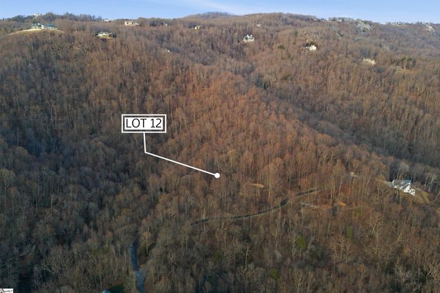12 Hideaway Hill Way, Landrum, SC 29356