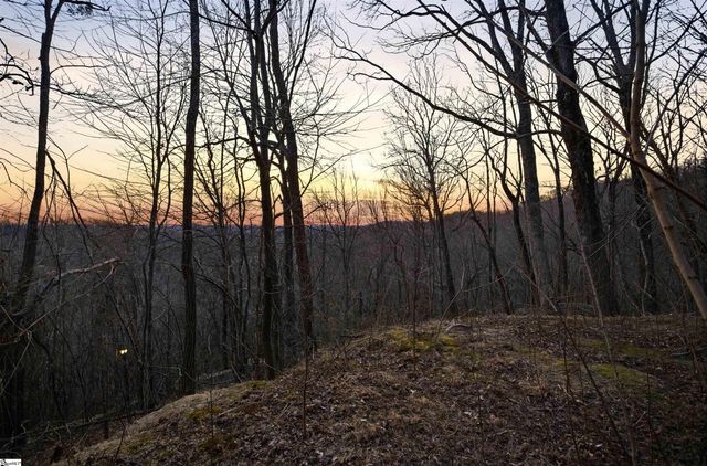 12 Hideaway Hill Way, Landrum, SC 29356