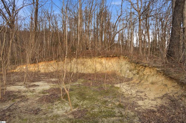 12 Hideaway Hill Way, Landrum, SC 29356