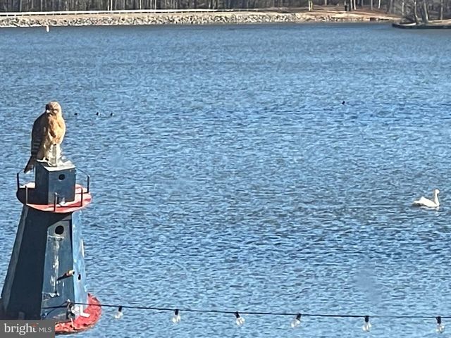 373 LAND OR DR, Ruther Glen, VA 22546