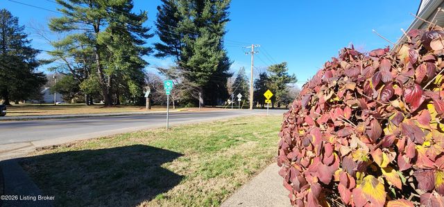 3728 Locust Ave, Louisville, KY 40299