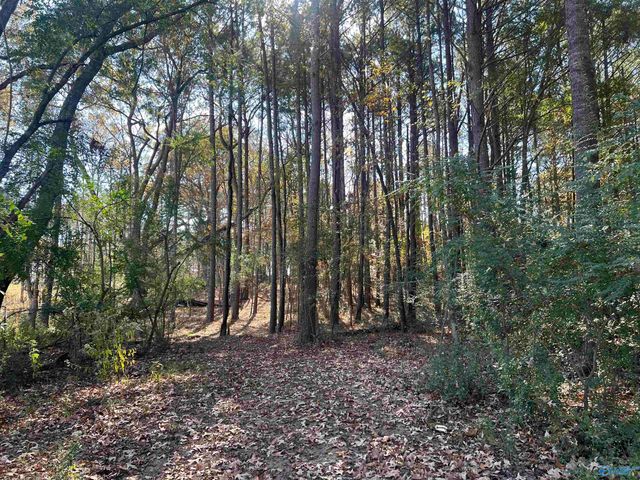 8180 County Road 44, Cedar Bluff, AL 35969