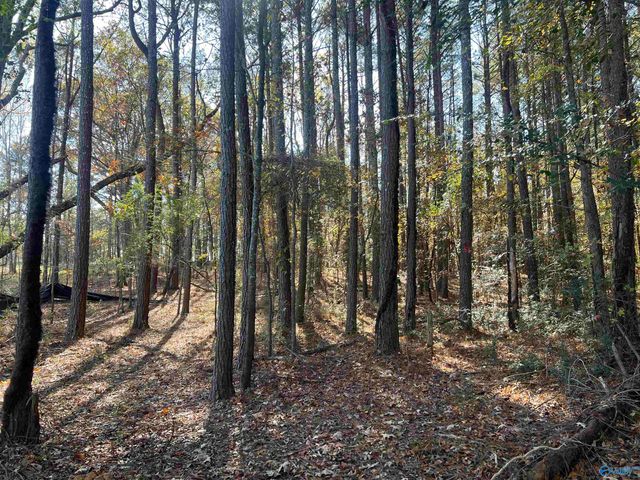 8180 County Road 44, Cedar Bluff, AL 35969