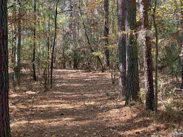 8180 County Road 44, Cedar Bluff, AL 35969