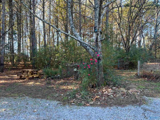 8180 County Road 44, Cedar Bluff, AL 35969