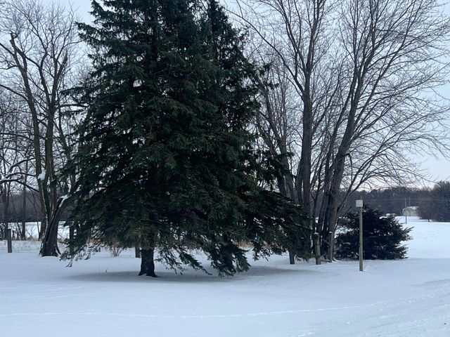 29684 650th Avenue, Litchfield, MN 55355