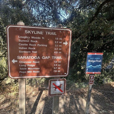 13004 Paseo Presada, Saratoga, CA 95070
