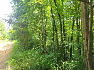 Lot 79 Yellowwood Drive, Sevierville, TN 37876