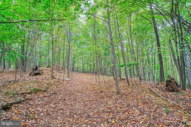 37740 LONG LN, Lovettsville, VA 20180