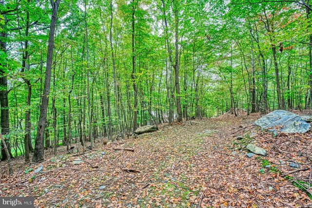 37740 LONG LN, Lovettsville, VA 20180