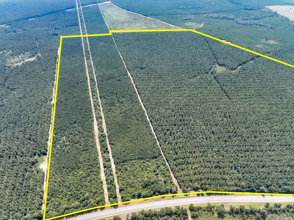 11 Highway 190, Woodville, TX 75979