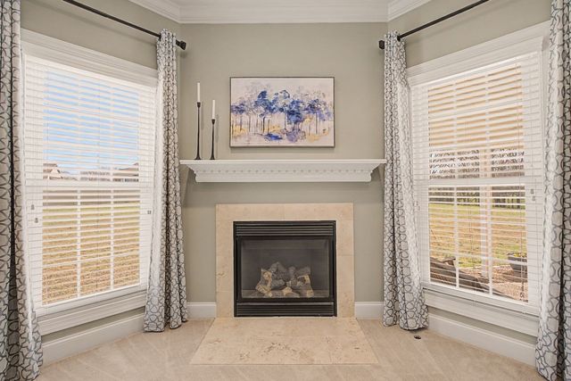 4106 Sheffield Ln, Greenbrier, TN 37073