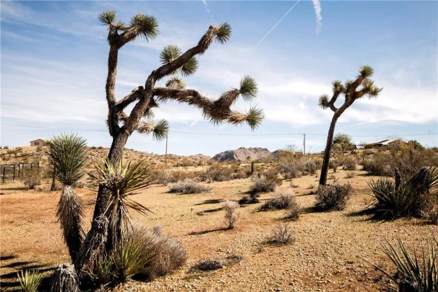 59621 Mesa Drive, Yucca Valley, CA 92284