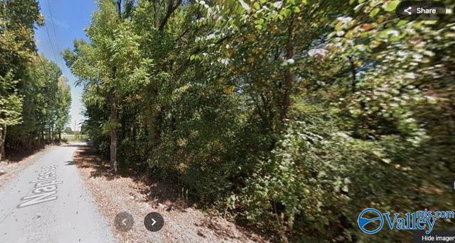 252 Naples Lane, Arab, AL 35016