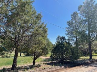5 YUCCA FLATS Road, Tijeras, NM 87059