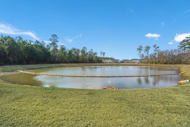 265 Wappoo Trace Lane, Summerville, SC 29486