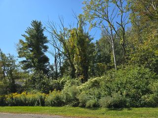 Ashley Drive, Goshen, CT 06756