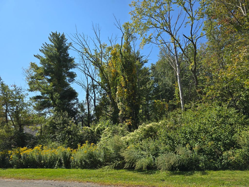Ashley Drive, Goshen, CT 06756