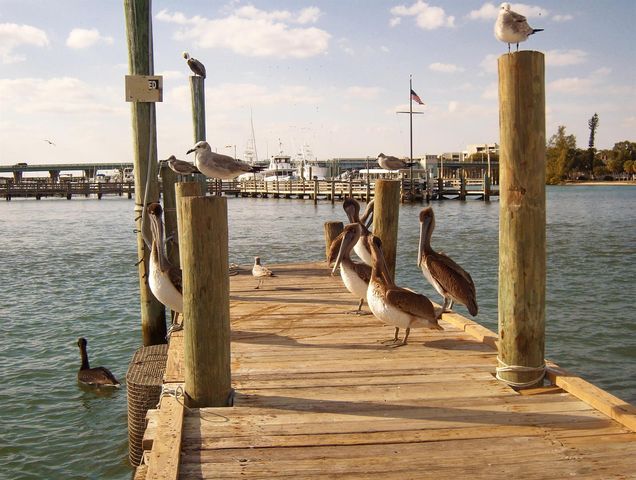 5310 N Ocean Drive 601, Riviera Beach, FL 33404