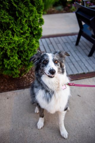 120 Zola Aly, Nashville, TN 37209