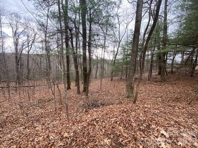 395 W Chestnut Ridges Road 14, Hendersonville, NC 28739