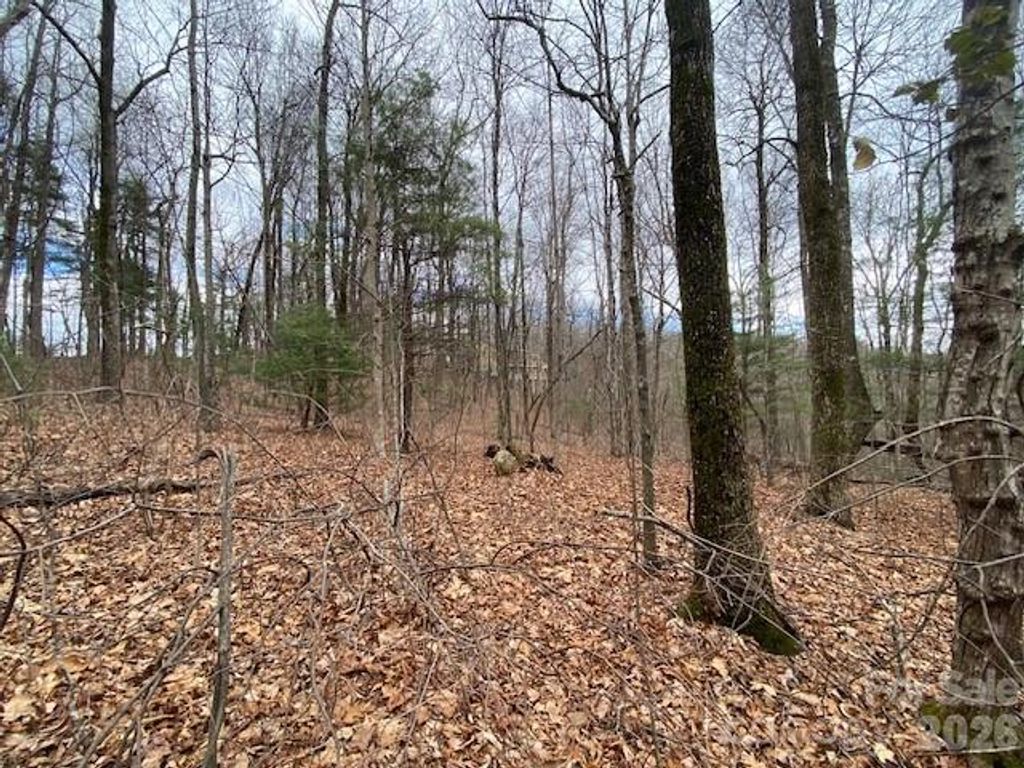 395 W Chestnut Ridges Road 14, Hendersonville, NC 28739