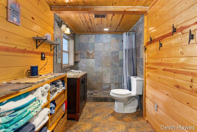 259 Ivason Drive, Stanton, MI 48888