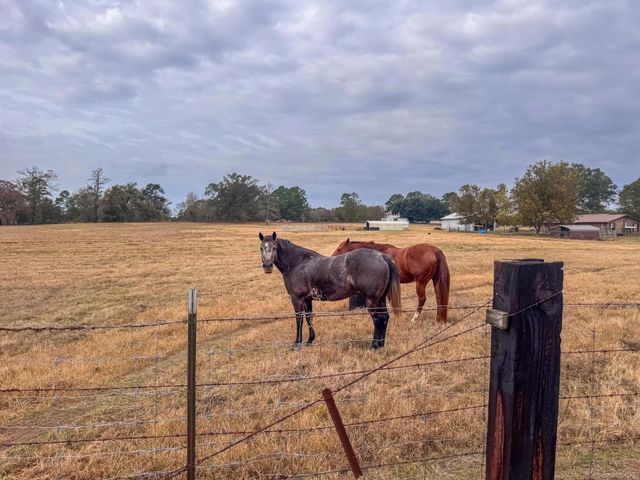 444 County Road 4104, Daingerfield, TX 75638