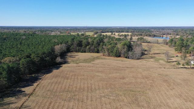 444 County Road 4104, Daingerfield, TX 75638