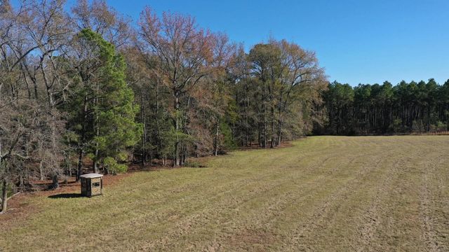 444 County Road 4104, Daingerfield, TX 75638