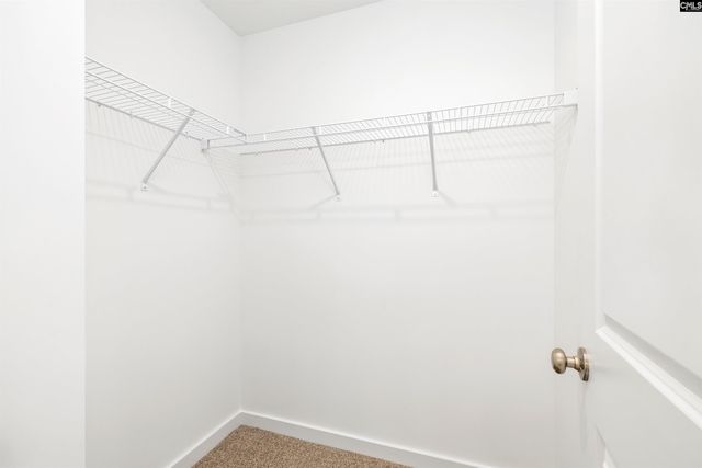 6 Fawn Spot Court, Elgin, SC 29045